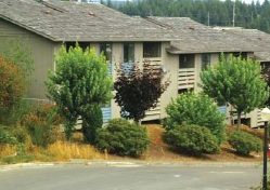 Primary Photo - Cedar Grove