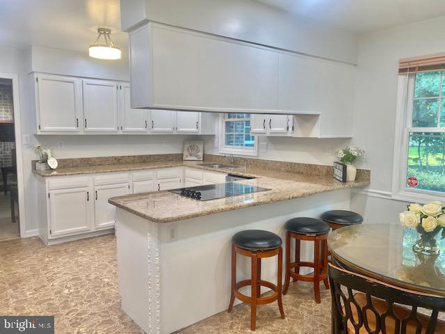 Building Photo - 12508 Surrey Cir Dr