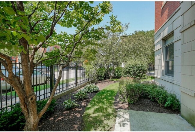 Building Photo - 1407 S Halsted St