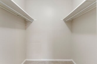 Interior Photo - Echo Trail