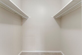 Interior Photo - Echo Trail
