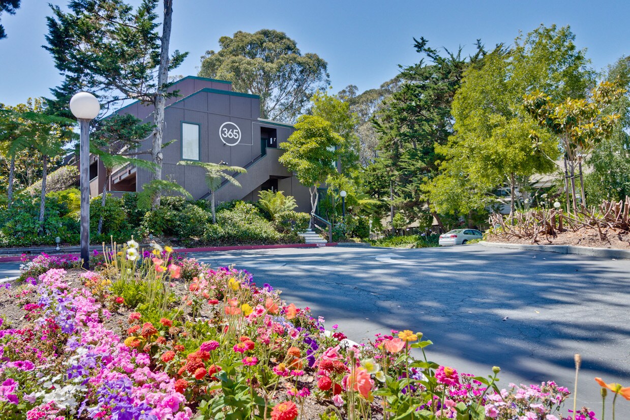 The Hilltop Apartments Santa Cruz Ca Primary Photo The Hilltop Apartments