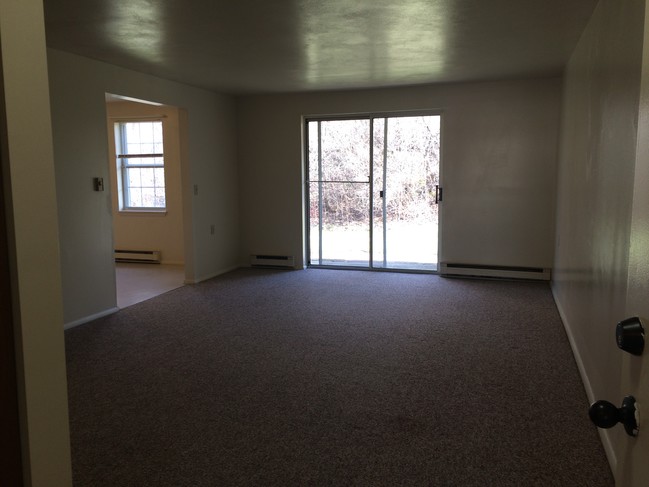 Living Room - Palmer Street Apartments