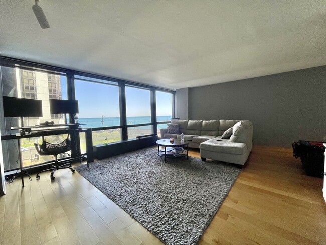 Foto del edificio - 900 N Lake Shore Dr