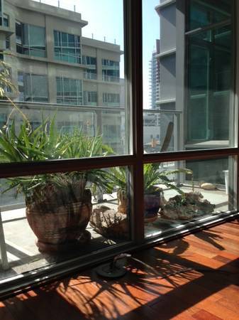 Foto principal - 1080 Park Blvd