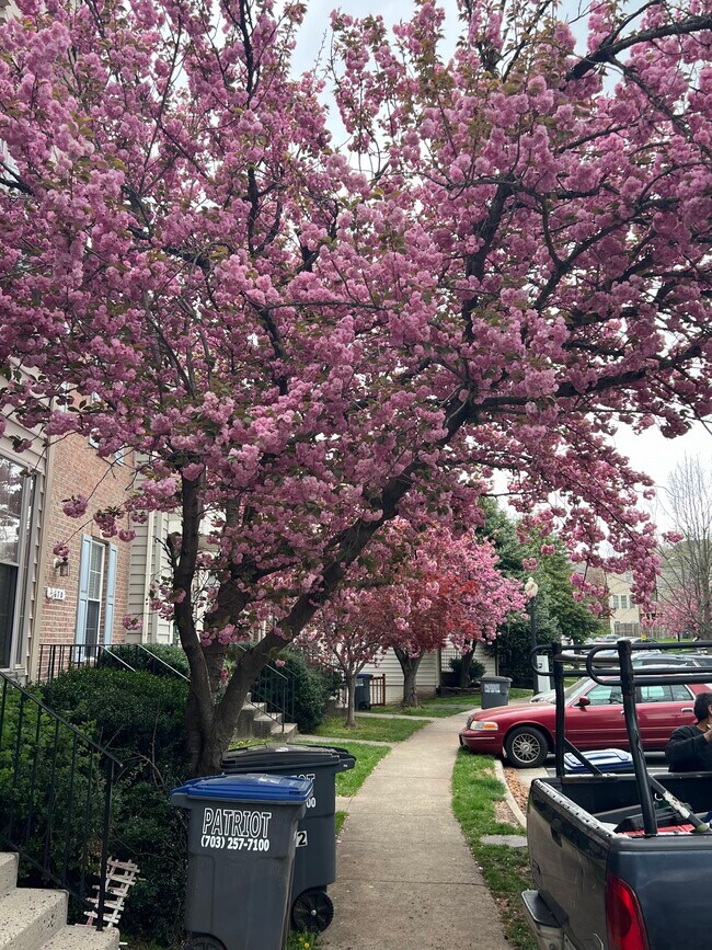 Foto del edificio - 4672 Flatlick Branch Dr