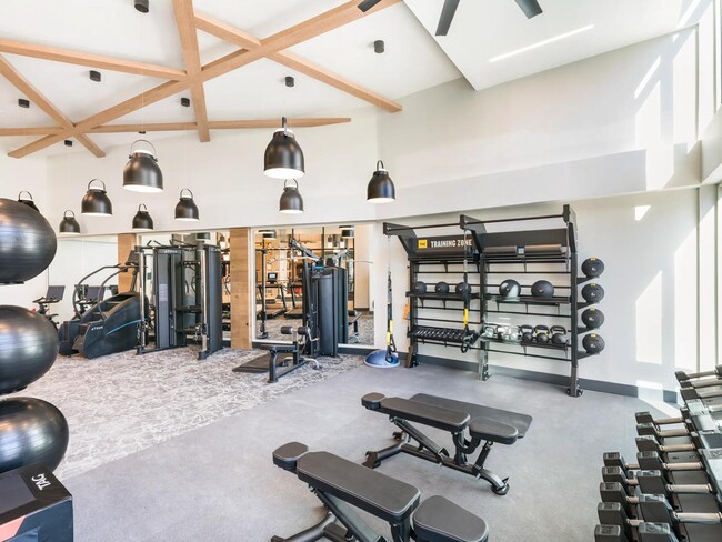 Stay fit your way with spin bikes & on-demand fitness in our premium studio! - Modera Falls Church