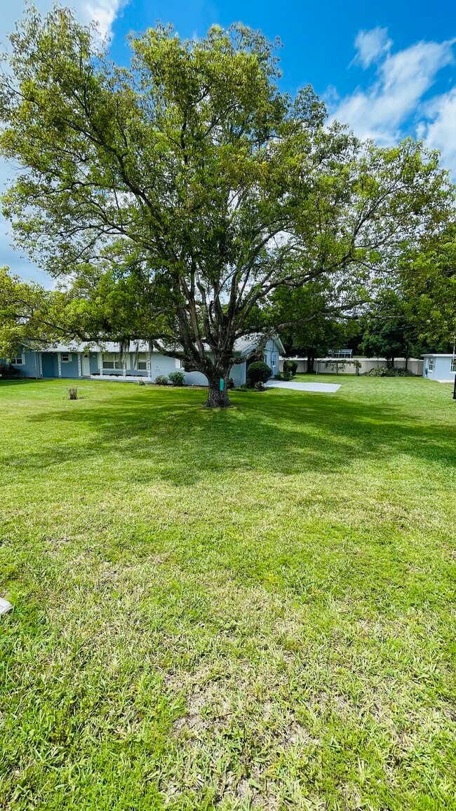 Front Yard - 2155 Alafaya Trail (Oviedo, FL) House