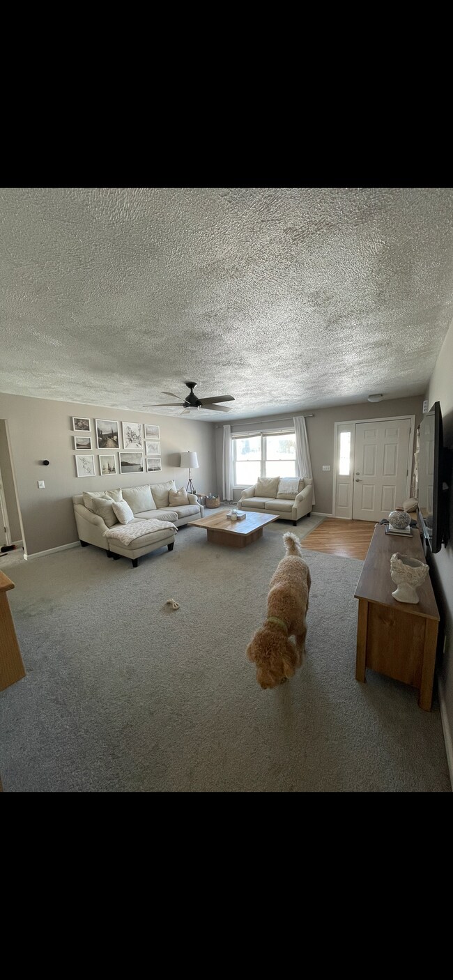 Livingroom - 72 Skyline Dr