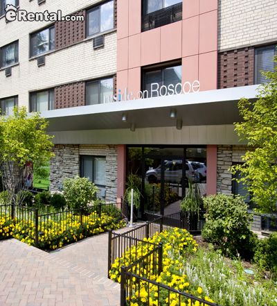 Foto del edificio - 532 W Roscoe St