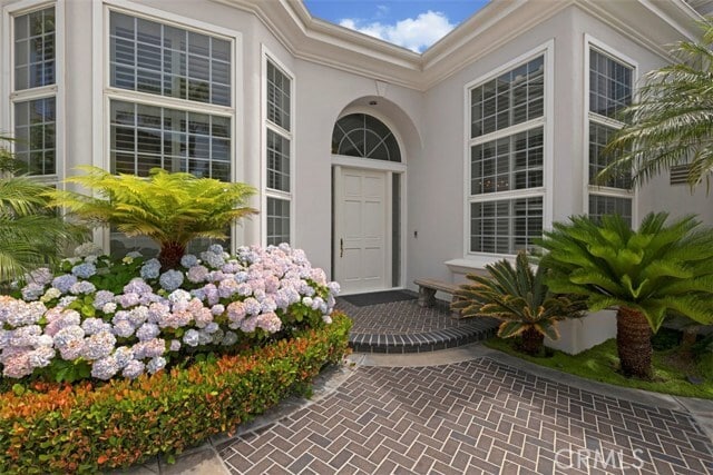 Building Photo - 97 Ritz Cove Dr