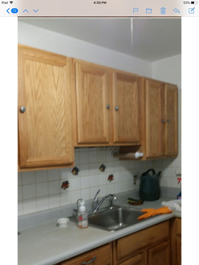 Building Photo - 124 Fox Run Ln