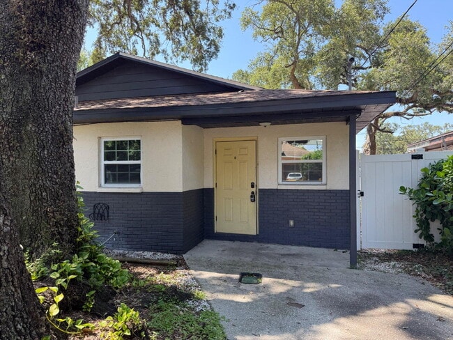 Building Photo - Freshly Renovated 2/1 Duplex in Tampa with...