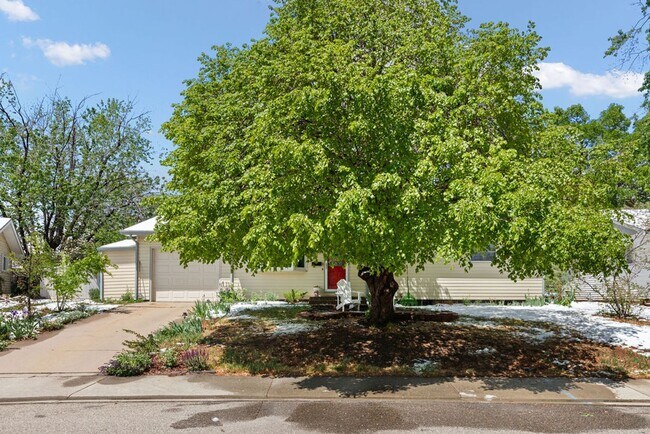 Foto del edificio - Cute 3 Bedroom Ranch in Loveland