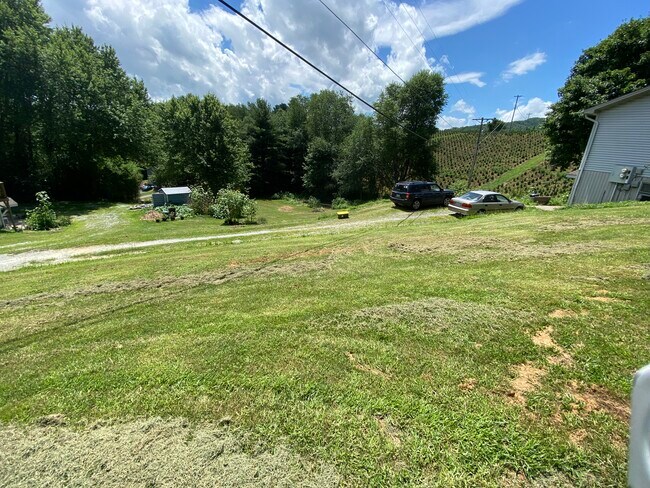 Large back yard - 172 Clay Hodges Rd