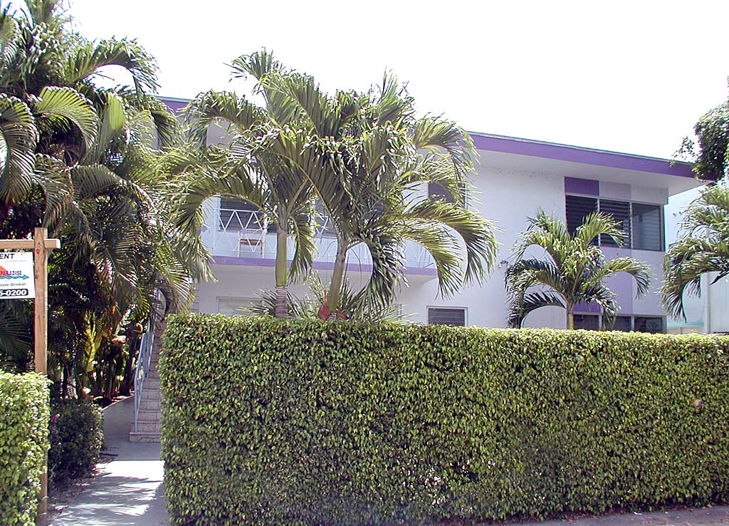 Vista a la principal - 1235 Euclid Ave