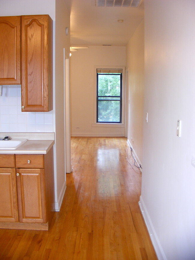 907 S. Laflin St - Apt #3 Cocina / Pasillo / Sala de estar - Harris Point Chicago