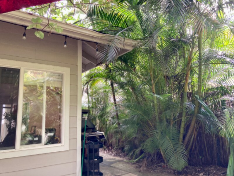 9512671267 Wikao St, Mililani, HI 96789 House for Rent in Mililani