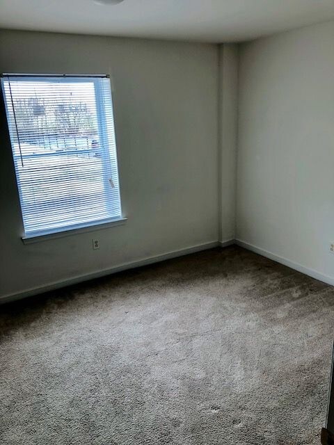 Building Photo - 3517 Briel St