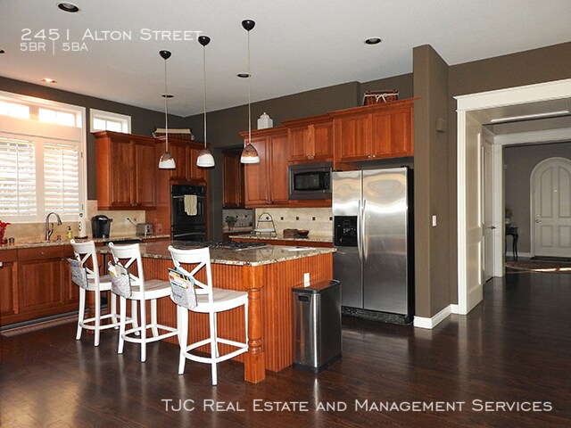 Foto del edificio - Stapleton Home for Rent! Custom Basement!