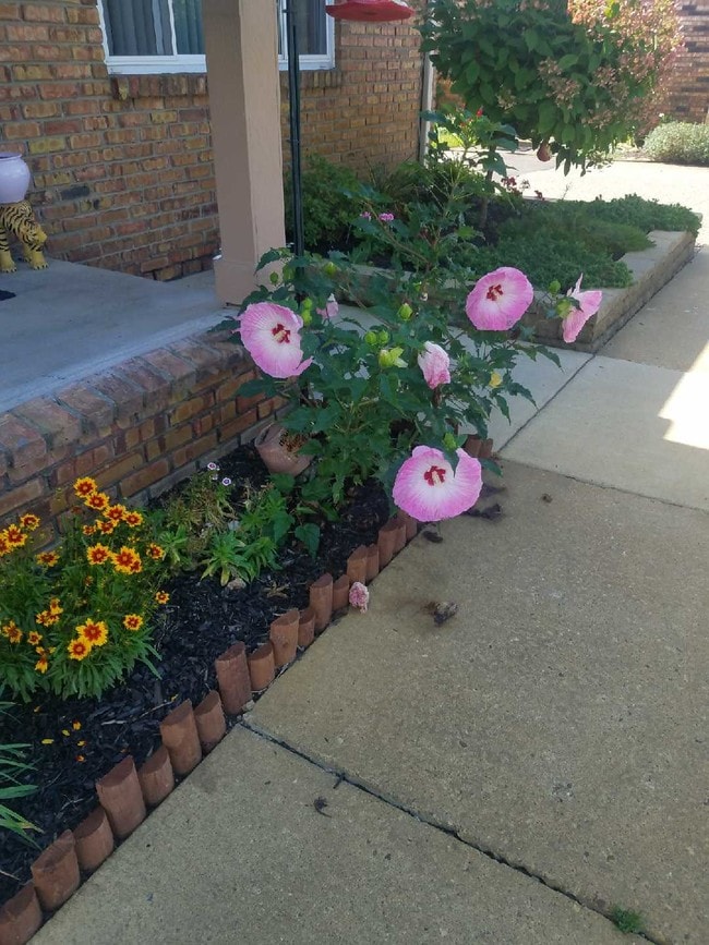 Building Photo - 61035 11 Mile Rd