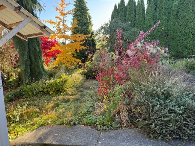 Foto del edificio - One bedroom in Bow