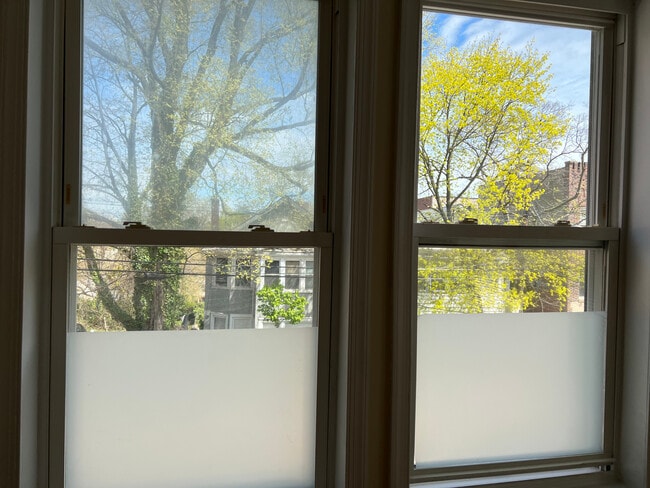 Living Room Front Window View - 144 Daniel Low Ter