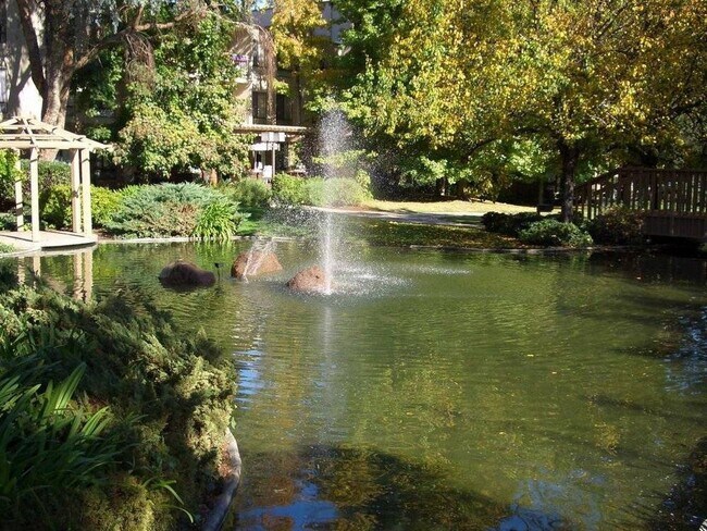 Lagoon & cascada - 460 N Civic Dr