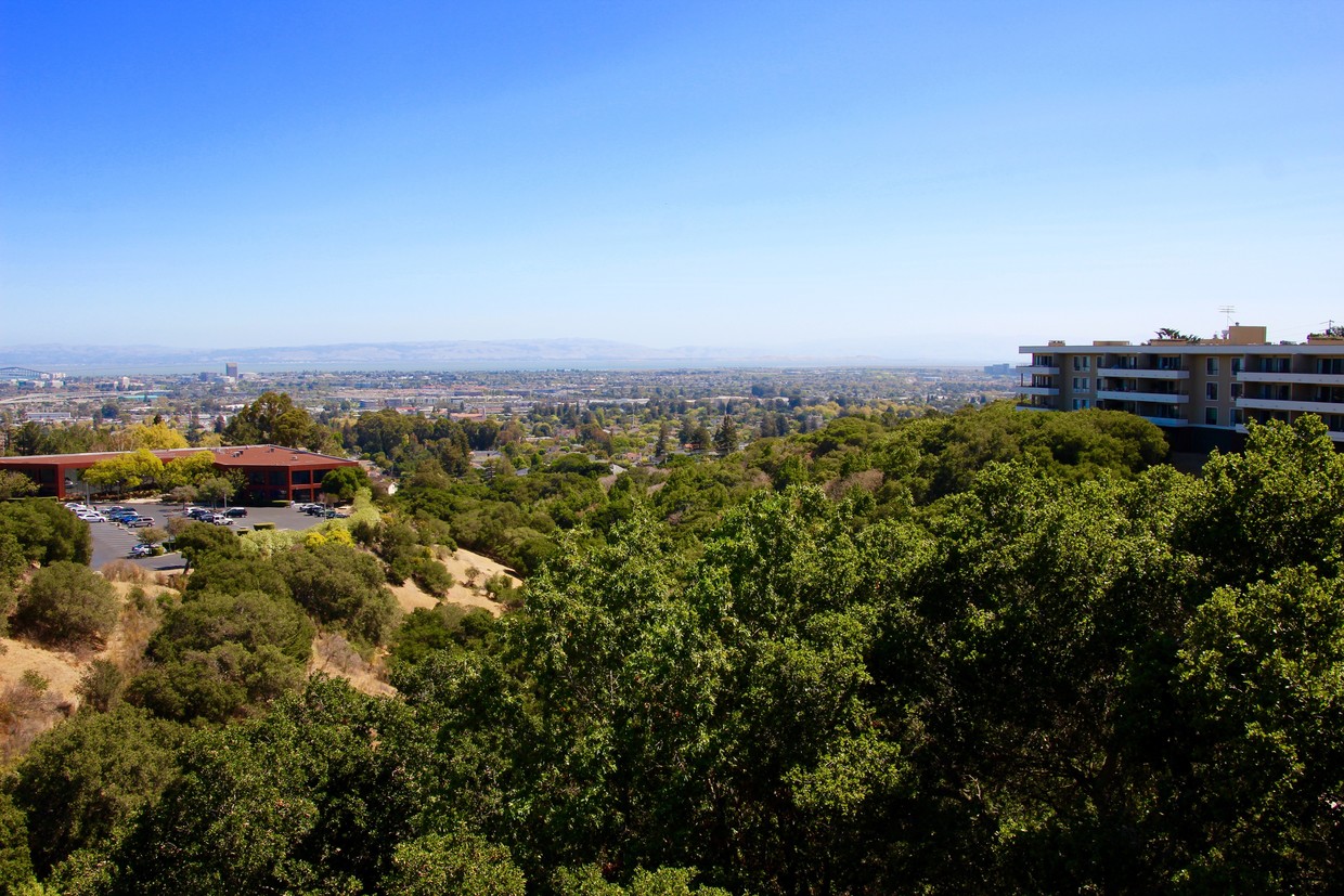 View from some of the apartments. - Oakview