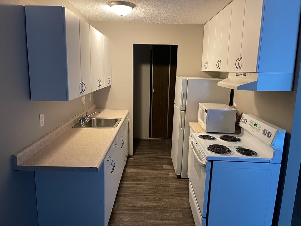 1010 Westbrooke Way Unit 1, Hopkins, MN 55343 Condo for Rent in