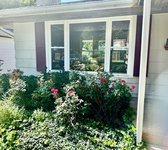 Foto del edificio - 531 Pinecrest Ln