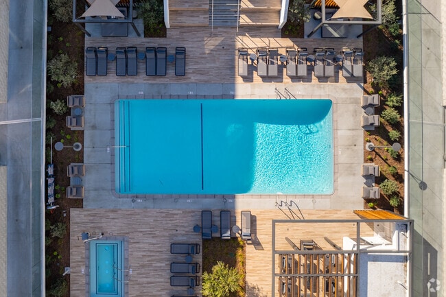 Aerial view of pool - Dolphin Marina Apartments