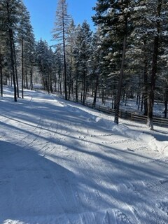 Foto del edificio - 285 Spring Hill Rd