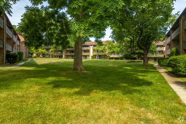 Courtyard - Raquet Club Apartments