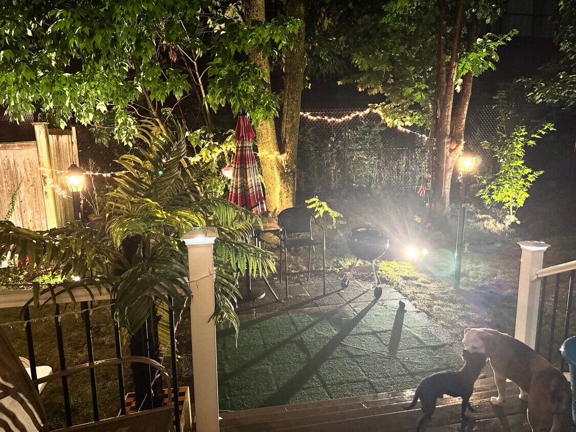 Patio interior - 14 Hazelwood St