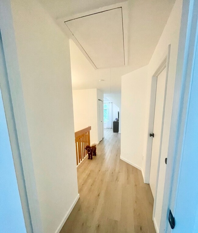 Building Photo - 40 Triumph Ct