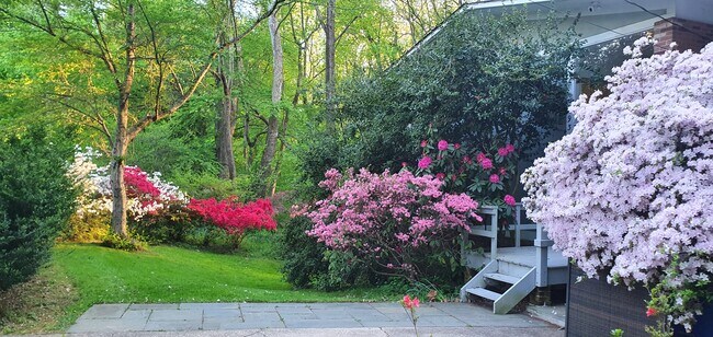 Street View - 3934 Rickover Rd
