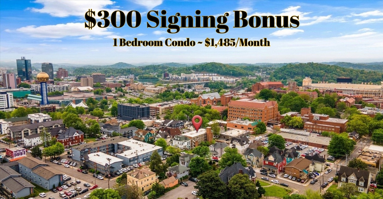 Upgraded 1BR Condo Near UTK | Walk to UT L... - Upgraded 1BR Condo Near UTK | Walk to UT L...