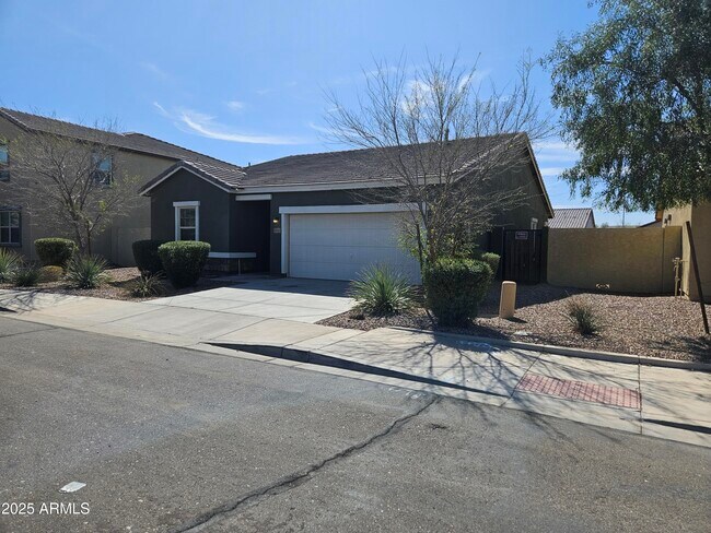 Building Photo - 36905 W Mattino Ln
