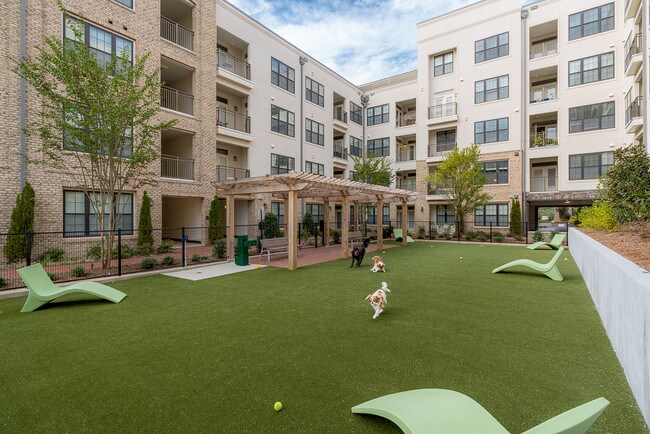 ¡Parque para perros de gran tamaño con césped! - Berkshire Ninth Street