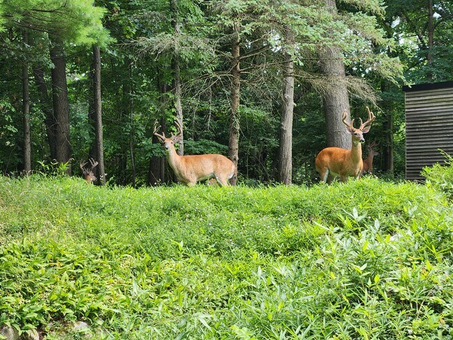 Visitantes - 6666 Bloomfield Ln