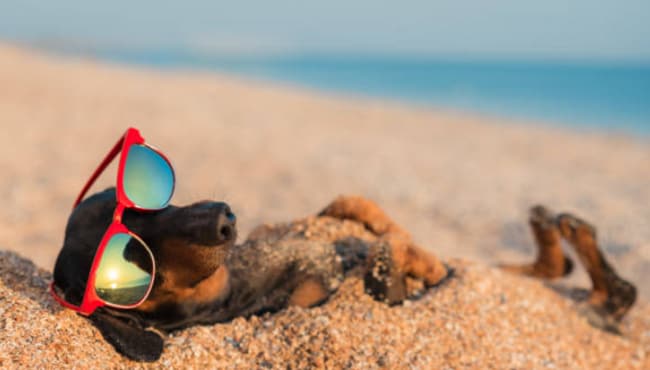 Beachwalk Lifestyle Starts Here! - Beachwalk Lifestyle Starts Here! Townhome