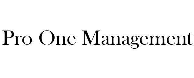 Pro One Management