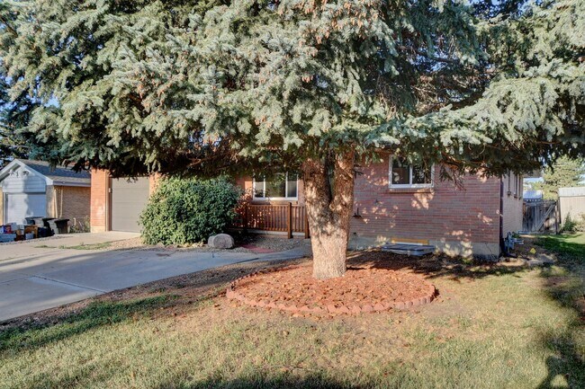 Building Photo - 4 bedroom, 2 bath home with 1 car garage in Broomfield