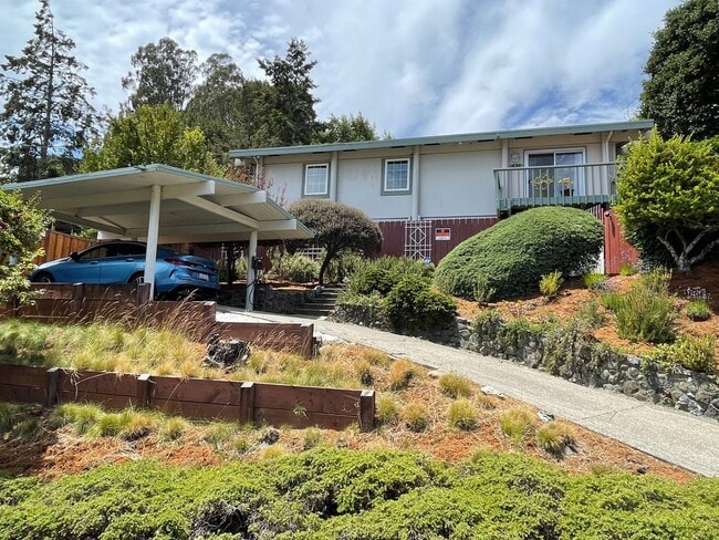 Gorgeous three bedroom two bathroom home with large backyard for rent! - Gorgeous three bedroom two bathroom home with large backyard for rent!