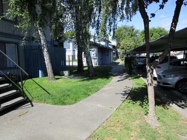 Foto del edificio - 3266 Blue Ridge Circle