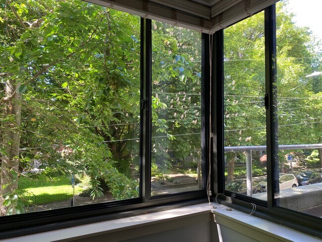 Corner Window with view of tree-lined street - 1105 Spring St