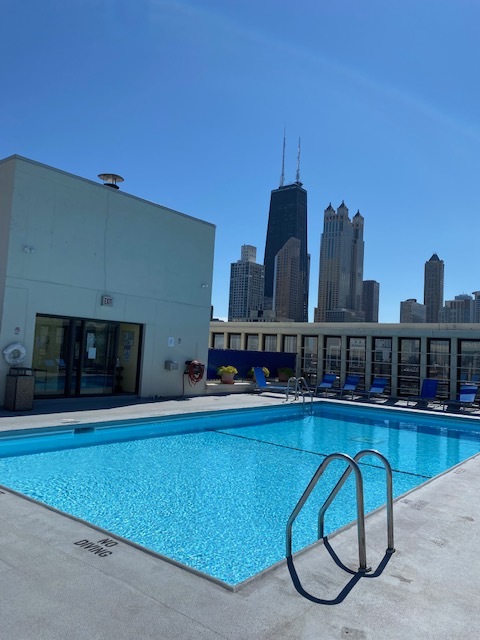 Rooftop pool - 1 E Scott St