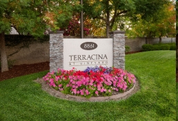 Building Photo - Terracina at Vineyard