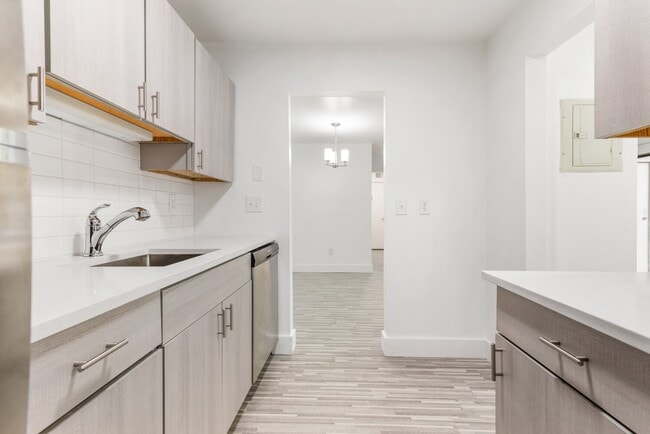 Brand New Kitchen - Edge at Novi - Novi, MI